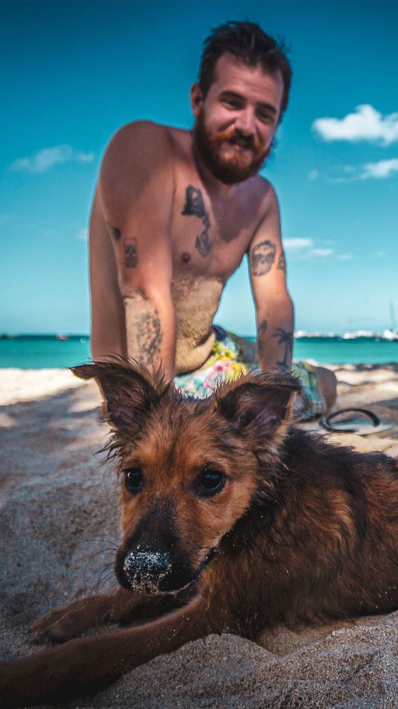 Photograph by Marko Radisavljevic