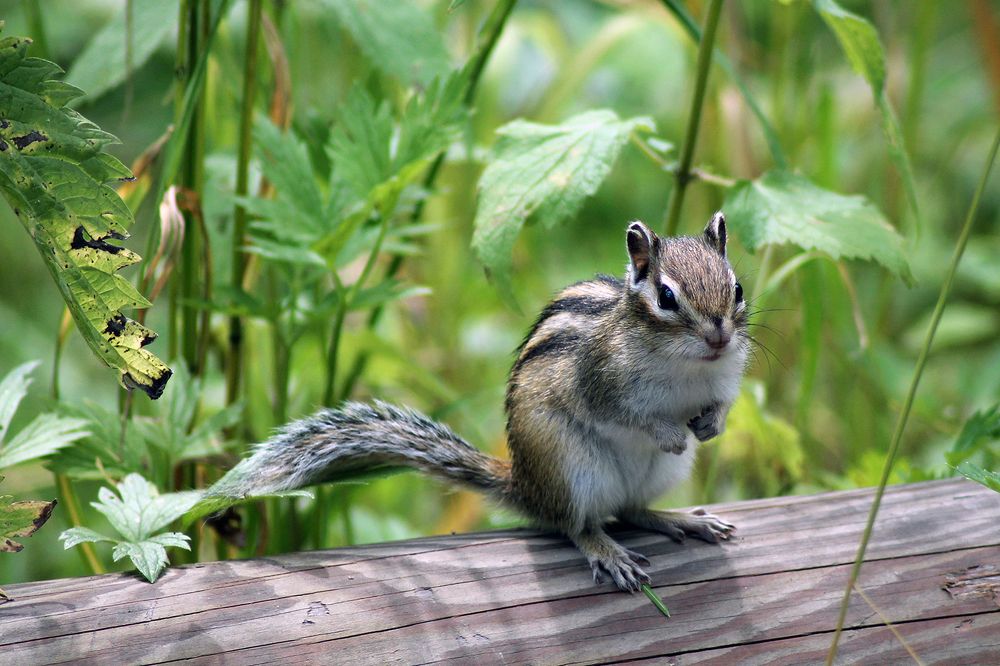 Photograph by Ekaterina Torganskaia