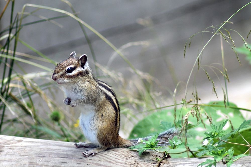Photograph by Ekaterina Torganskaia
