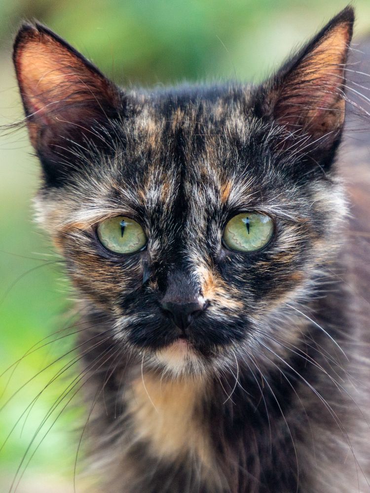 Photograph by Родион Сенин