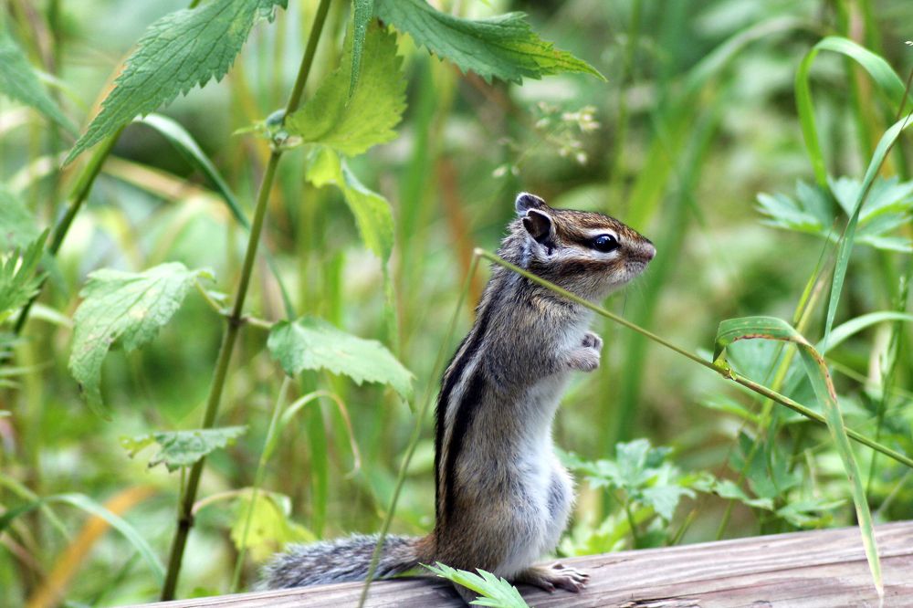Photograph by Ekaterina Torganskaia