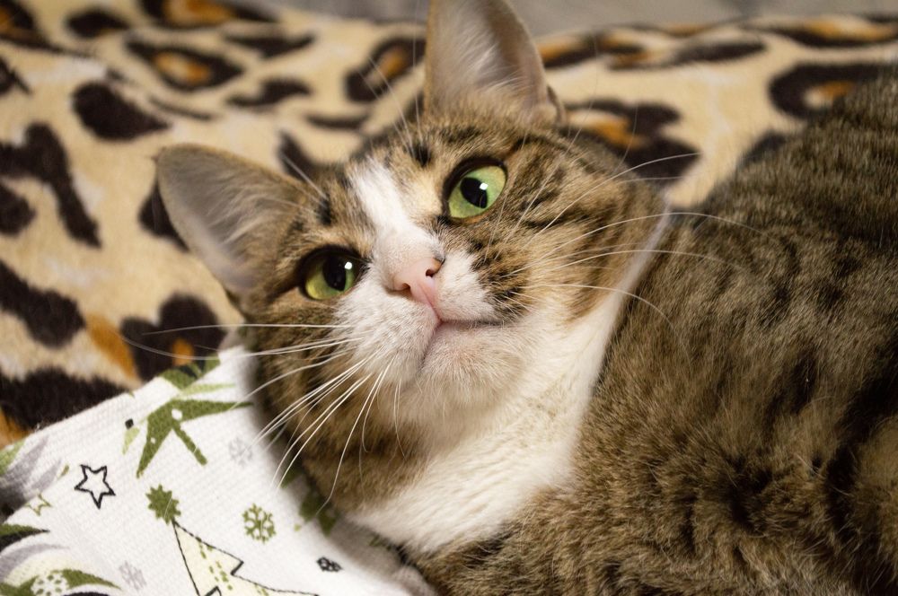 Photograph by Татьяна Гаранина