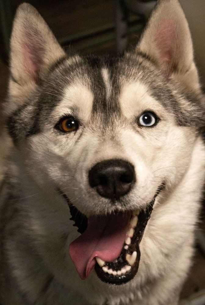 Photograph by Татьяна Гаранина