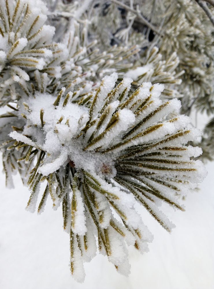 Photograph by Наталия Глущенко