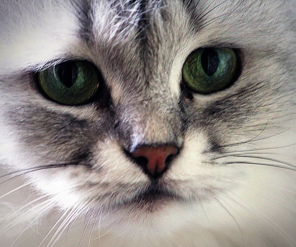 Photograph by Зоя Быкова