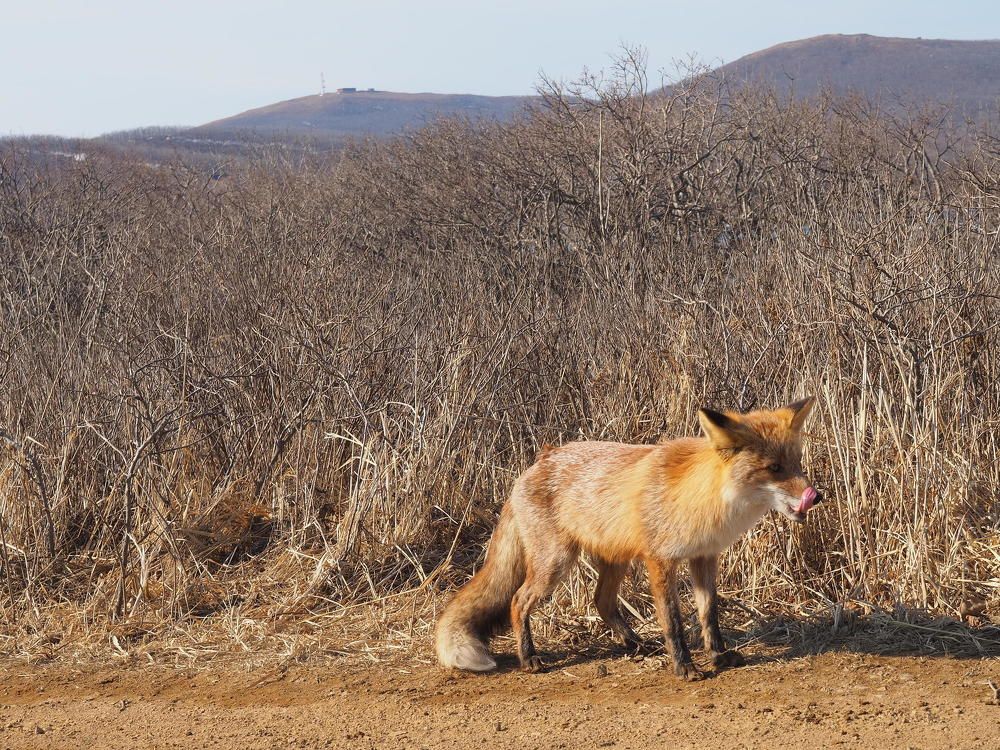 Photograph by Ольга Панкова