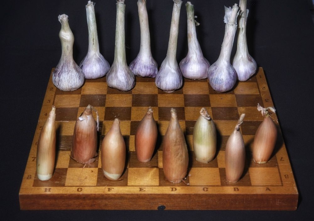 Чесночно-луковые шашки