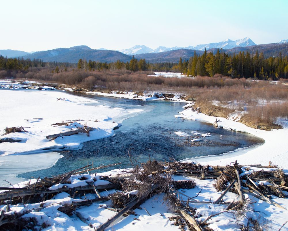 Photograph by Татьяна Гаранина