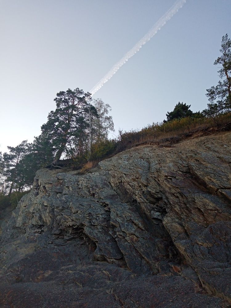 Photo #5973610