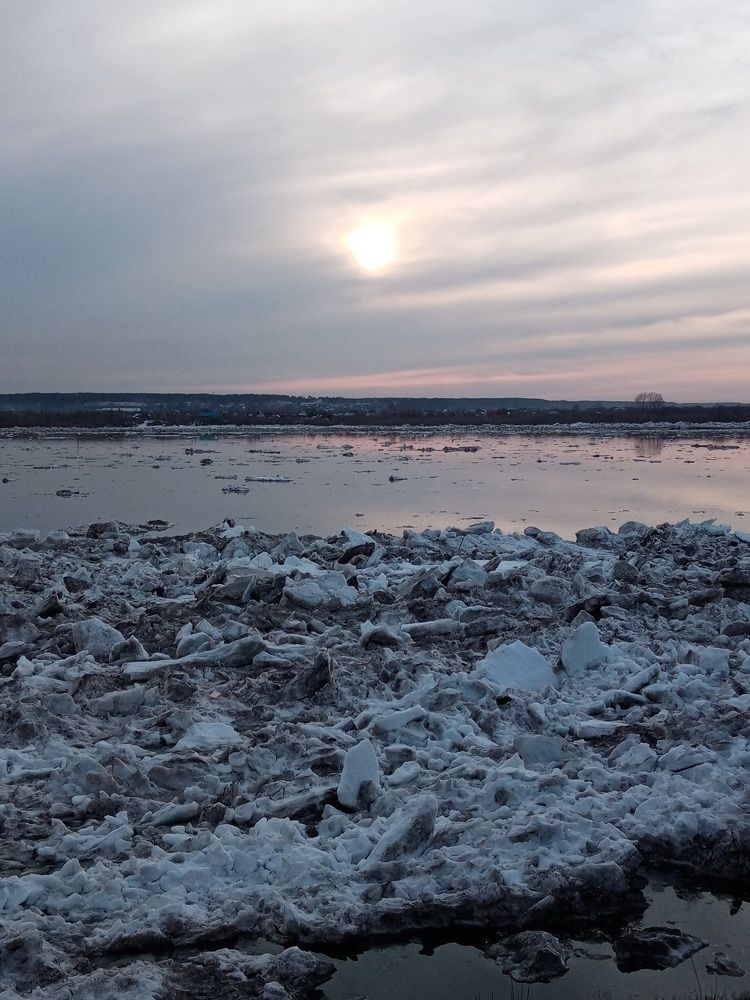 Photo #5973611