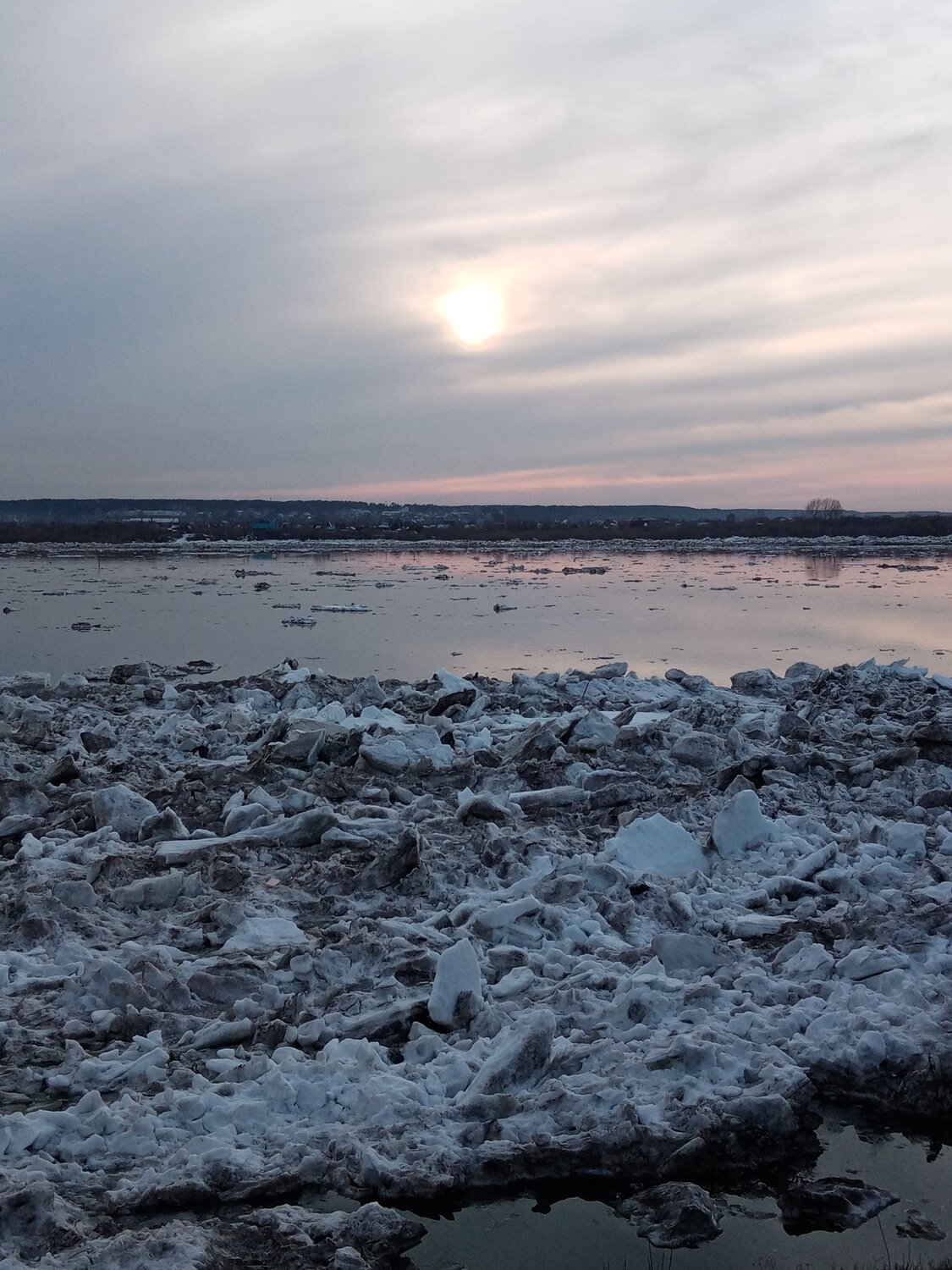 Photo #5973611
