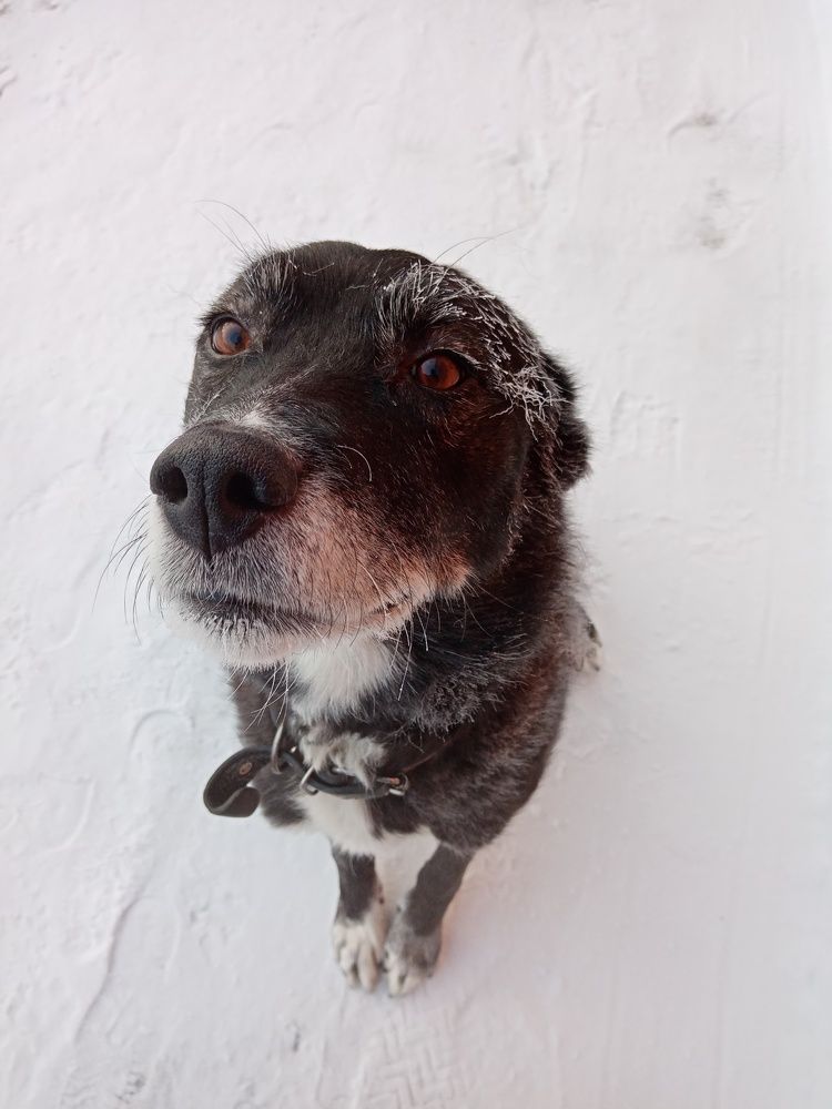 Photograph by Станислав Иванов