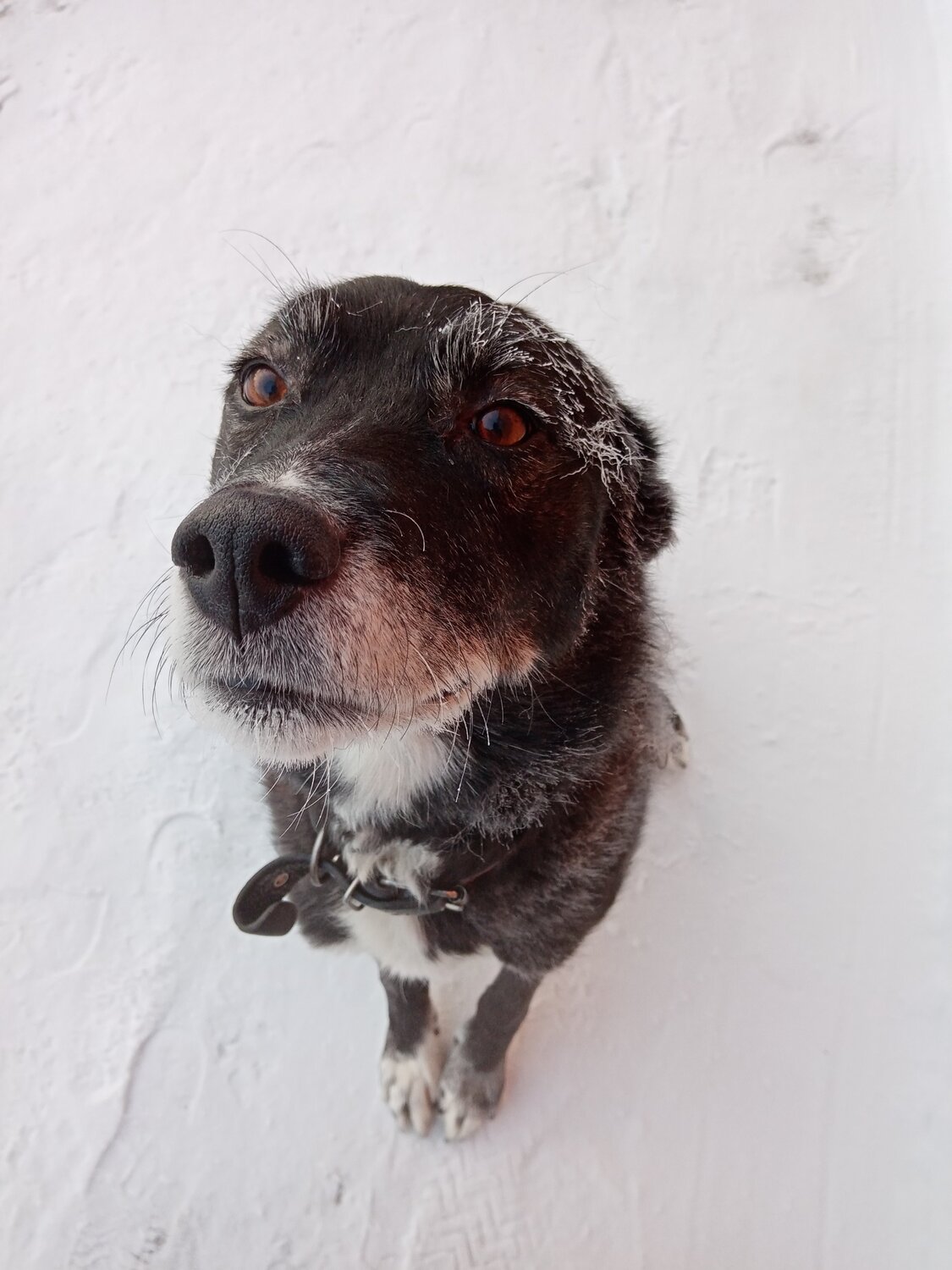Photo #5973619