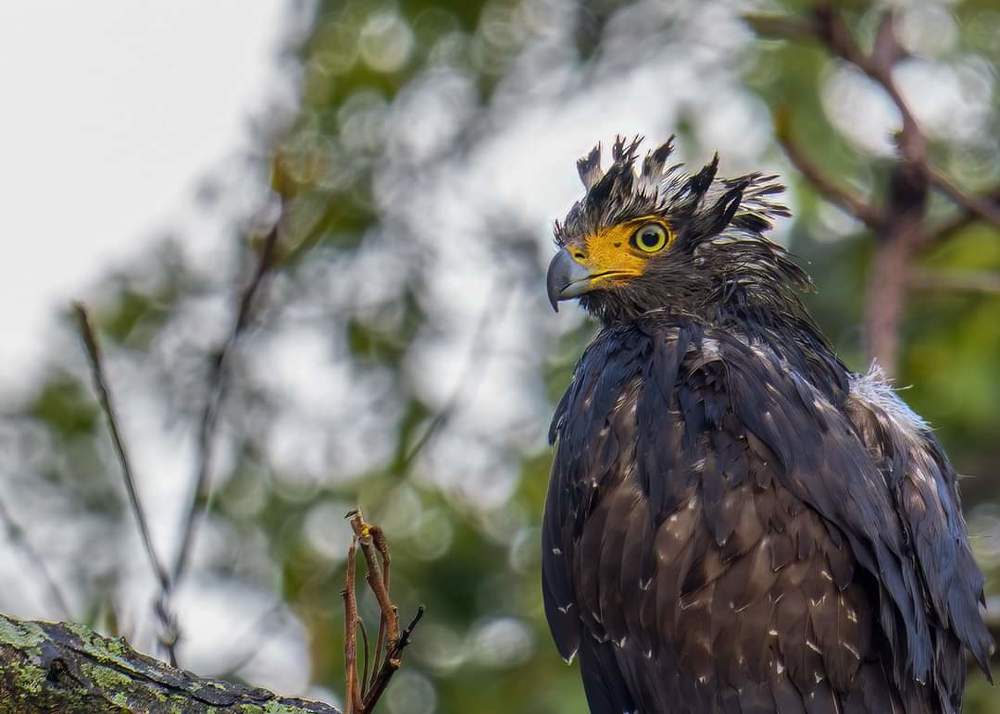 Photograph by Joo Aun Hneah