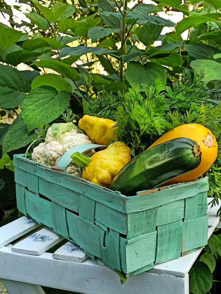 Фотография автора Ирина Черненко