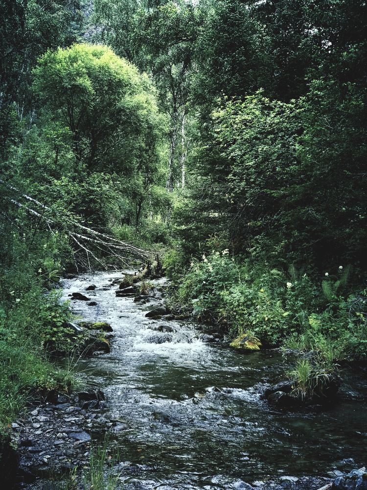 Photograph by Pavel