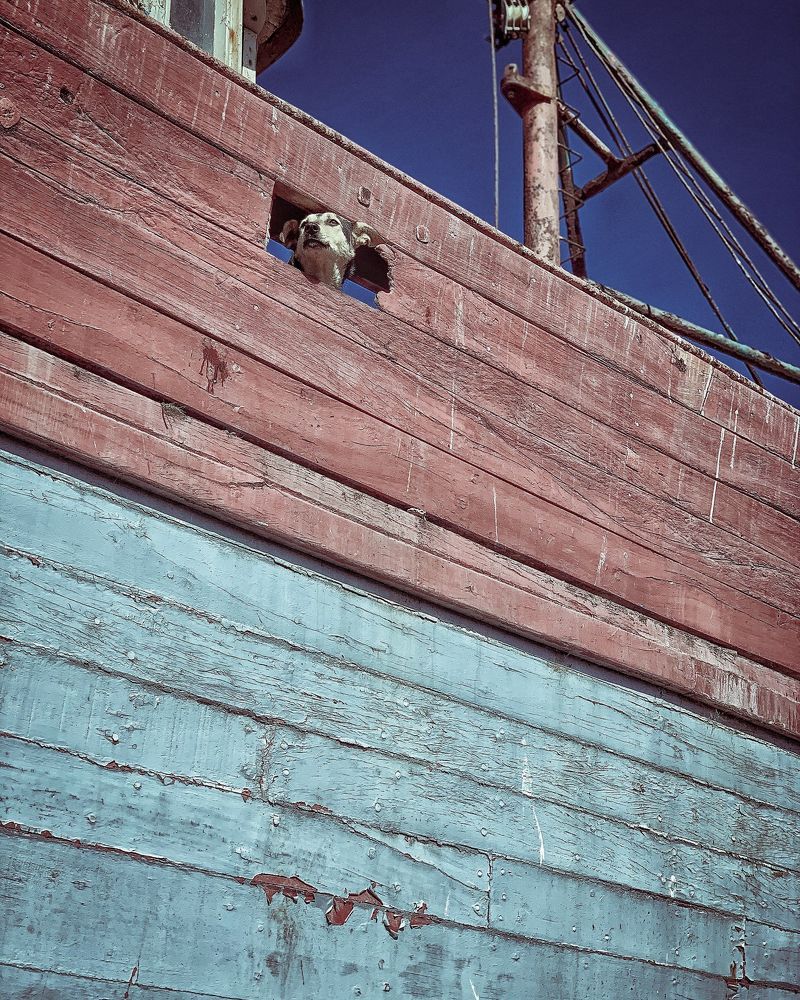 Photograph by Stoyan Kozlev