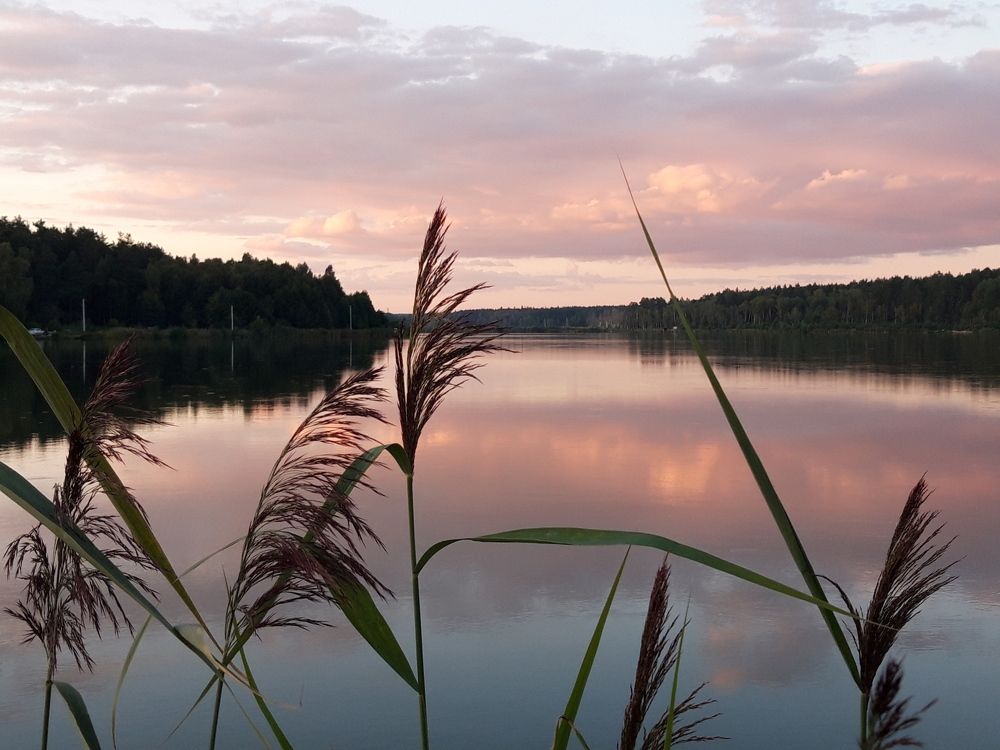 Фотография автора Елена Пикатова