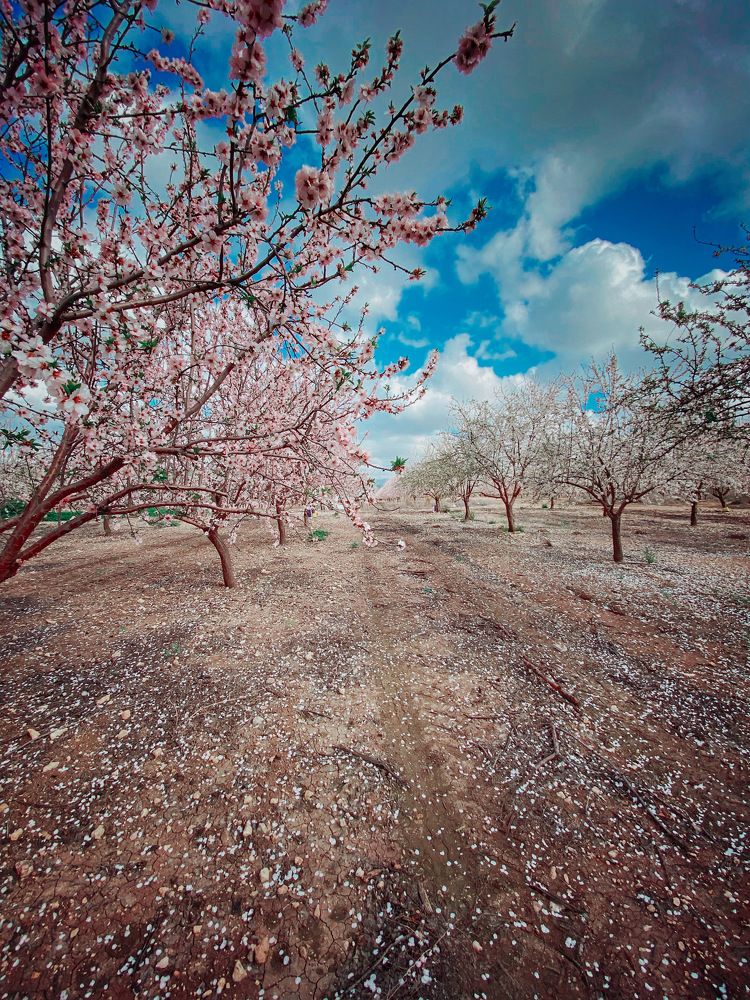 Photograph by Yelena Yakubov