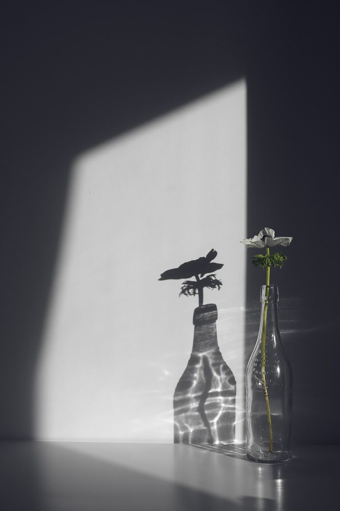 Photograph by Jevgenia Nikitina