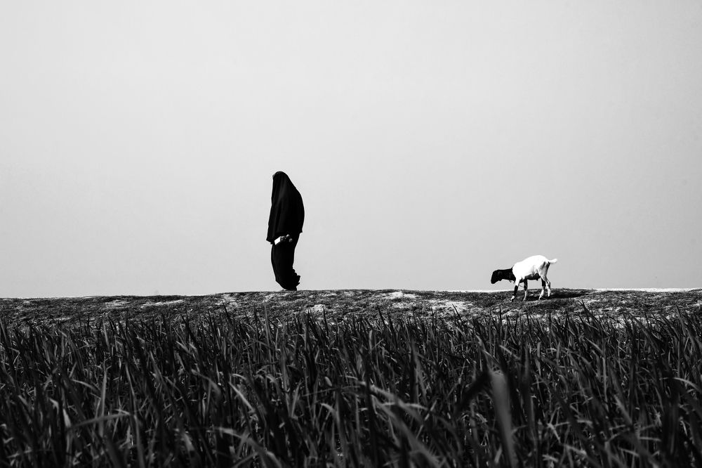 Photograph by Farhan Labib