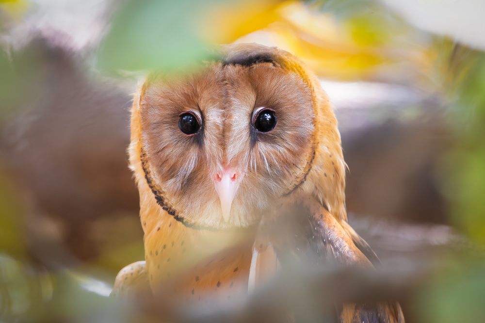 Photograph by Rin Võ