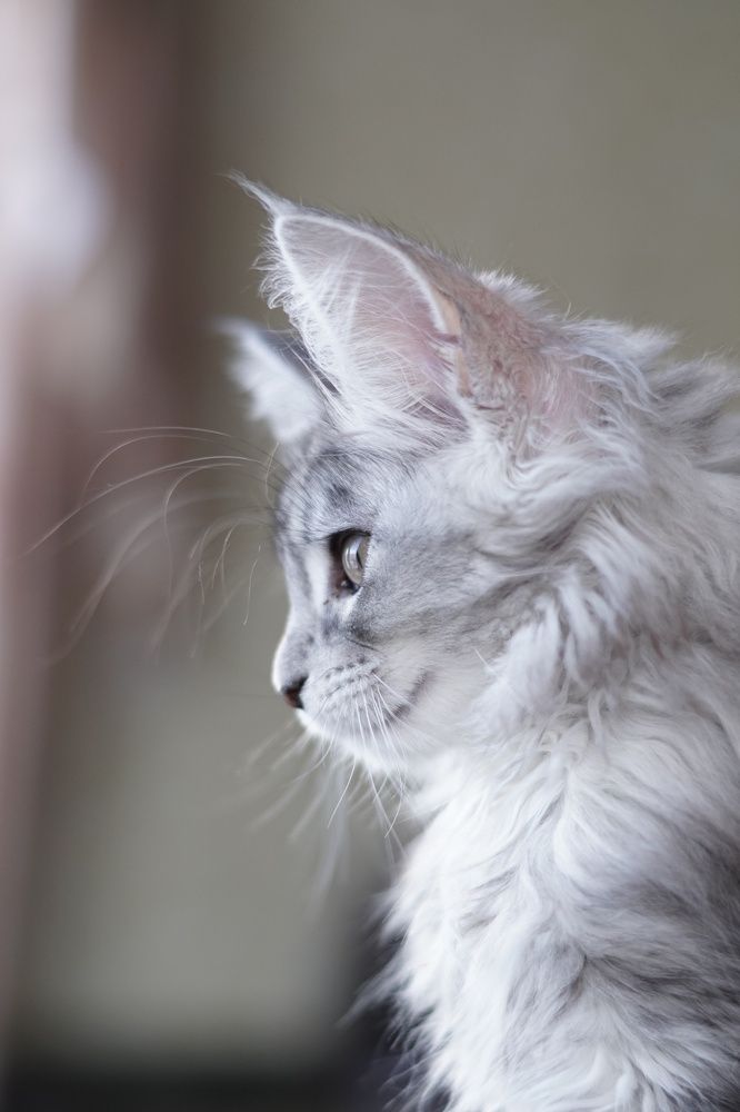 Photograph by Екатерина Ковальчук