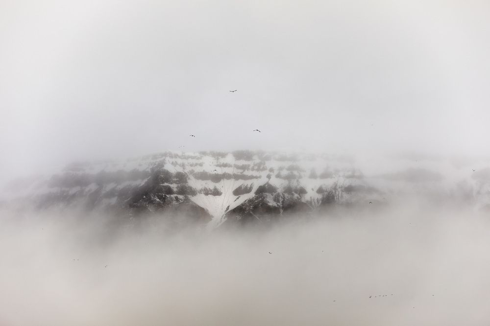 Photograph by Евгений Горячкин