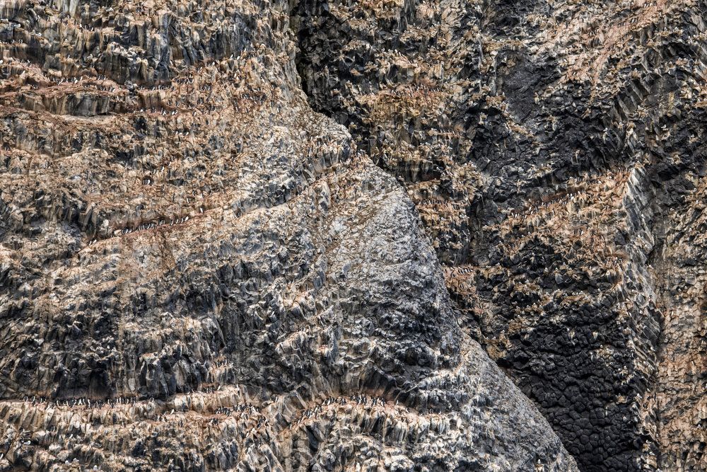 Photograph by Евгений Горячкин