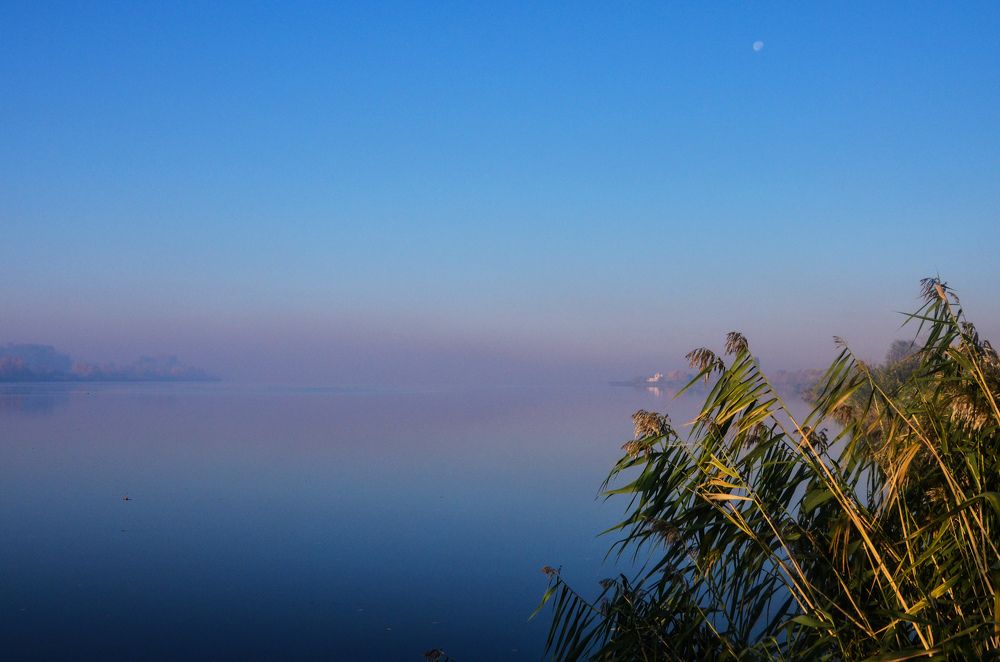 Photograph by Inna Logvinova