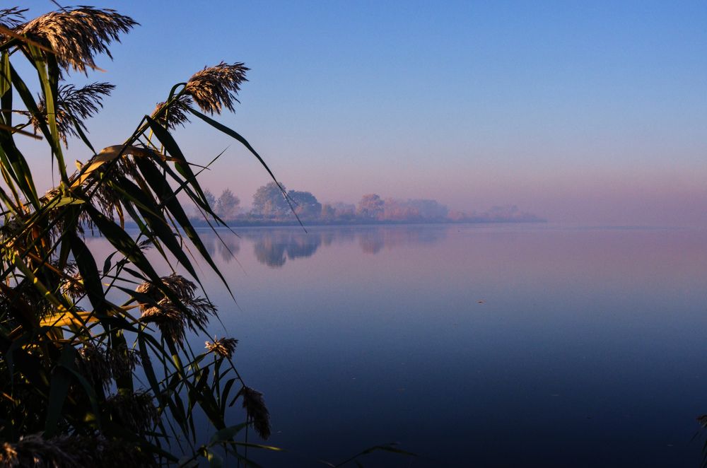 Photograph by Inna Logvinova