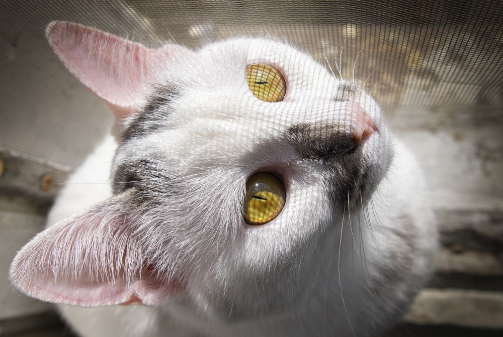 Photograph by Ксения Щербакова