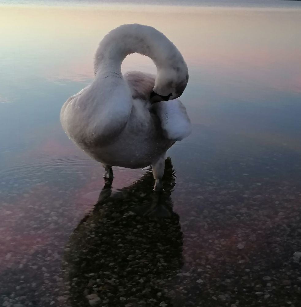 Photograph by Einfach Chrissie