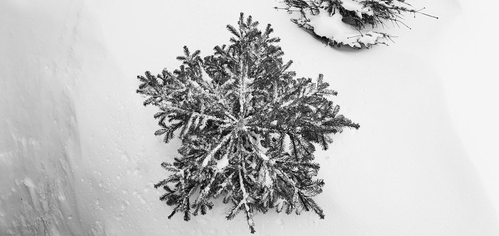 Formed as a snow flake