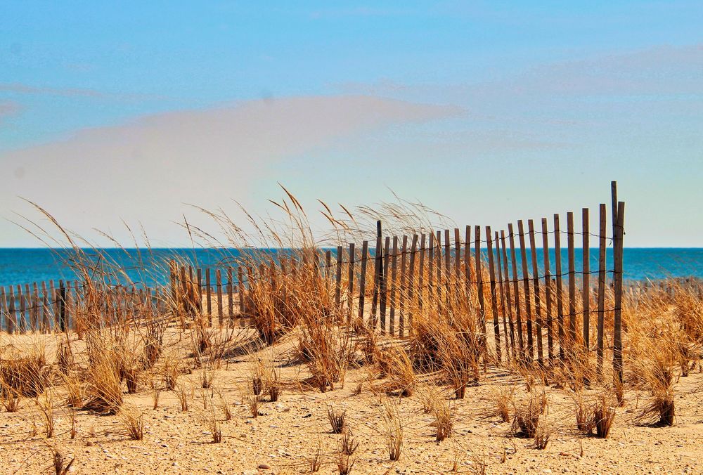 Photograph by Leo Tujak