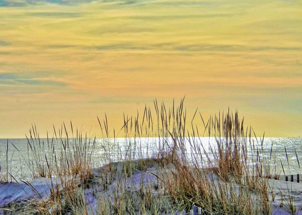 Photograph by Leo Tujak