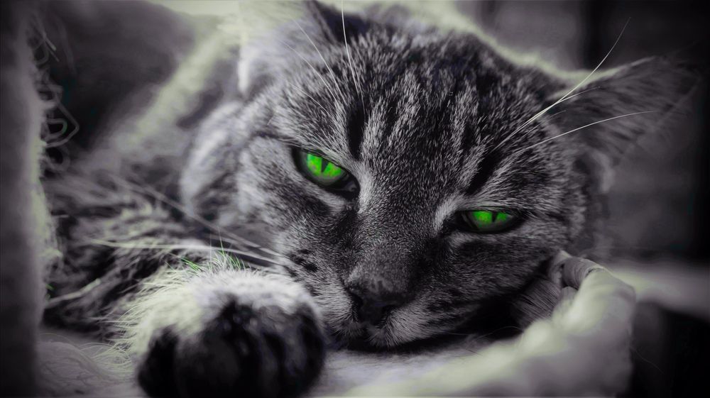 Photograph by Tomasz Klimek