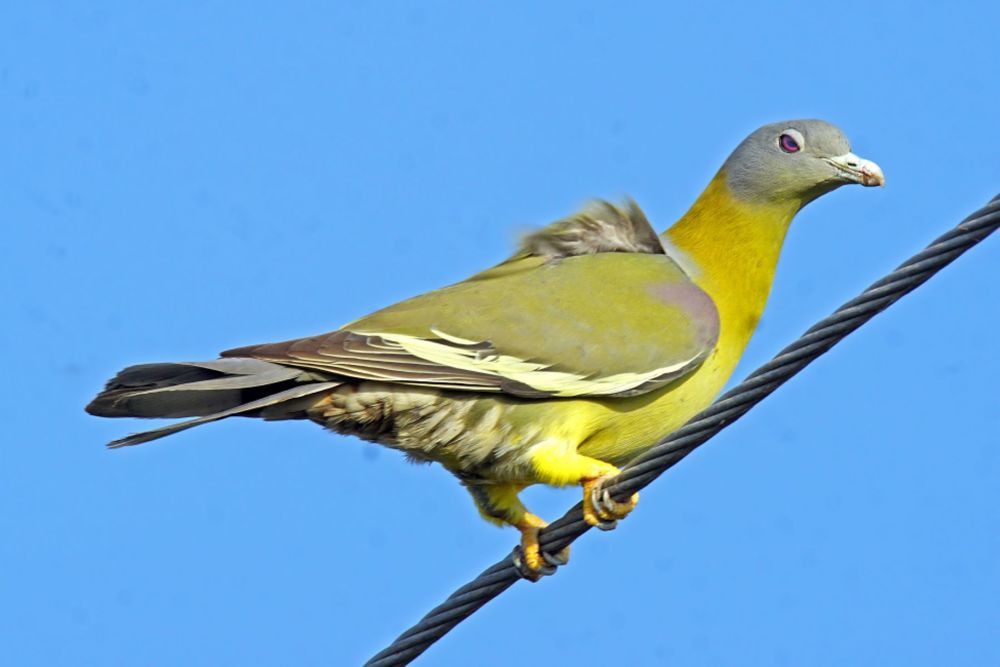 Photograph by Rasik Chavda