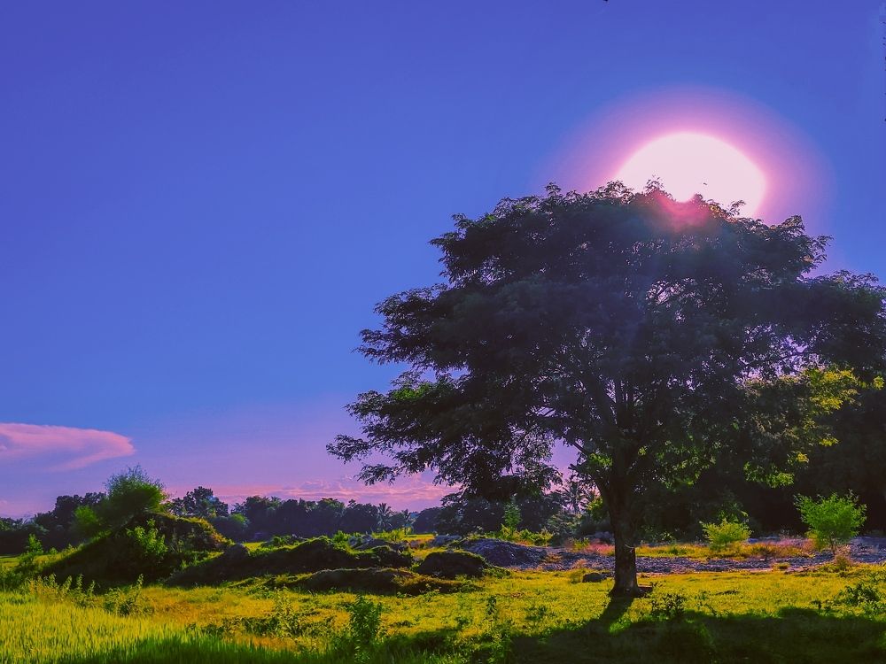 Photograph by Arnel Garcia