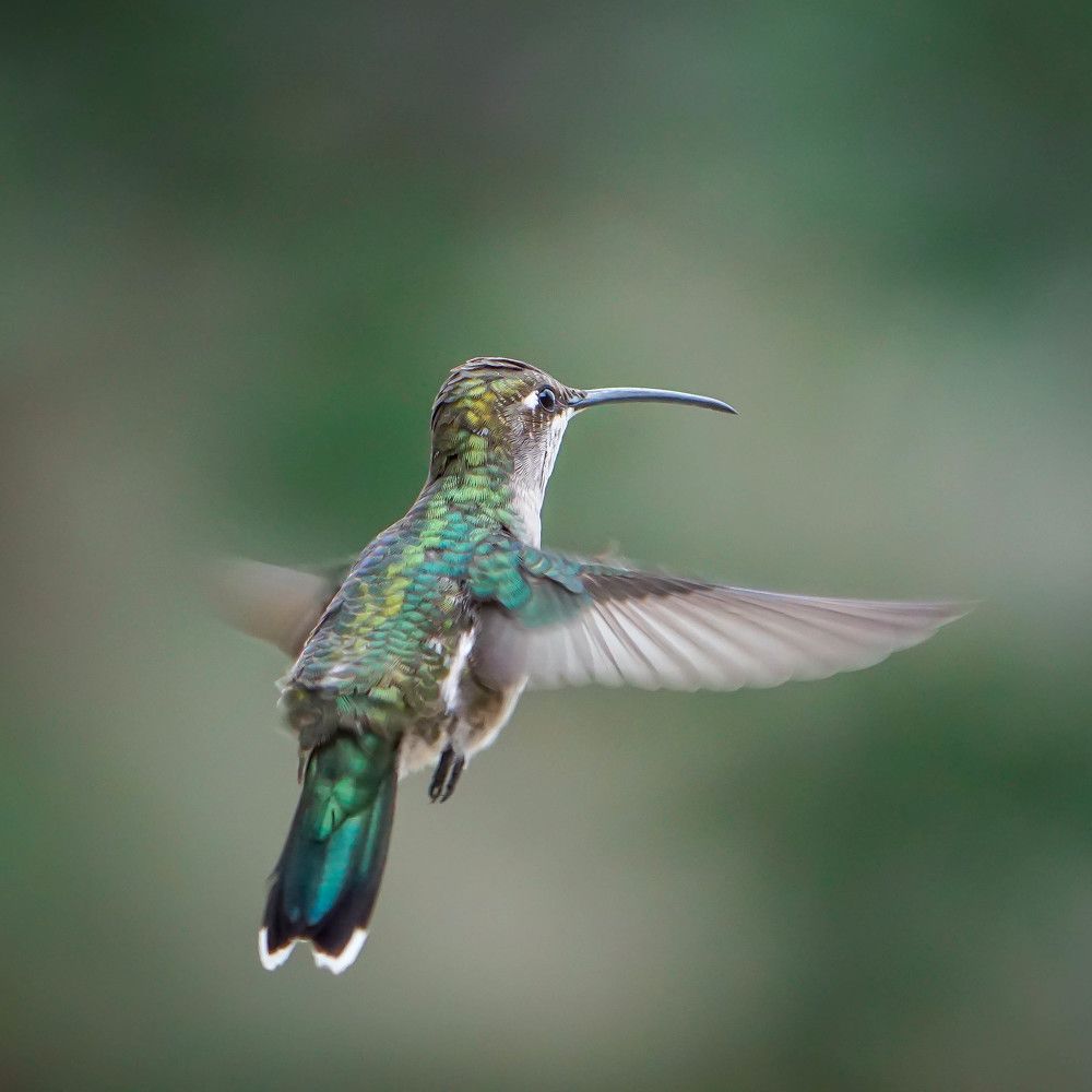 Photograph by Karina Elena Bergagna