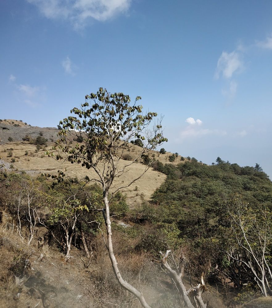 Photograph by Manish Manandhar