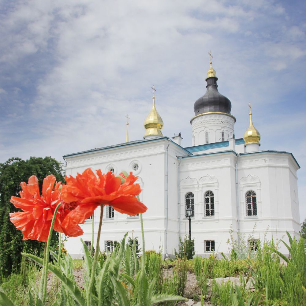 Красивый вид