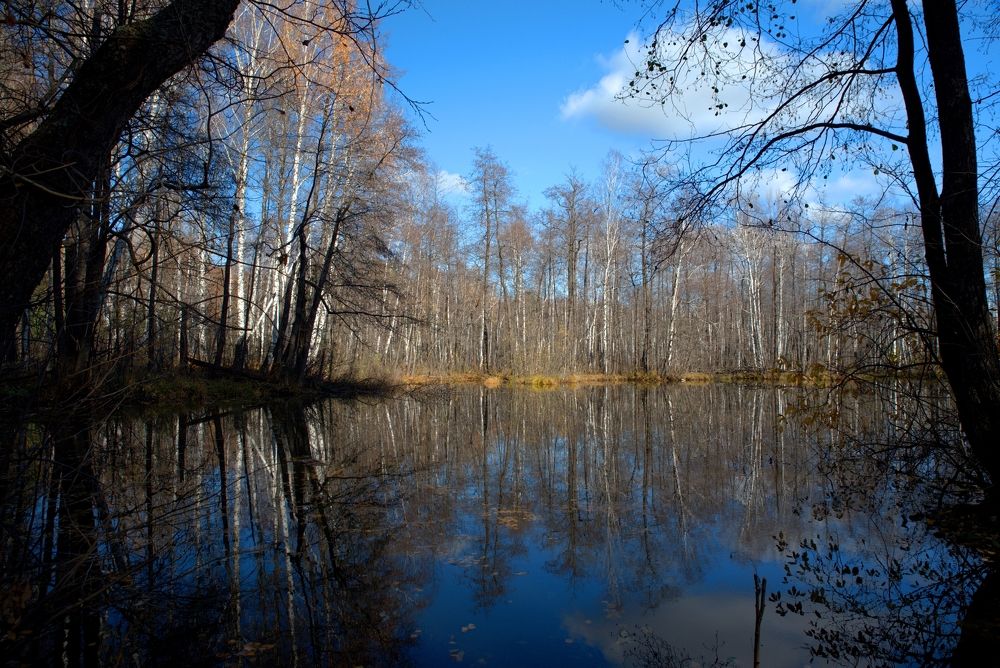 Озеро Скитское. Свердловская область
