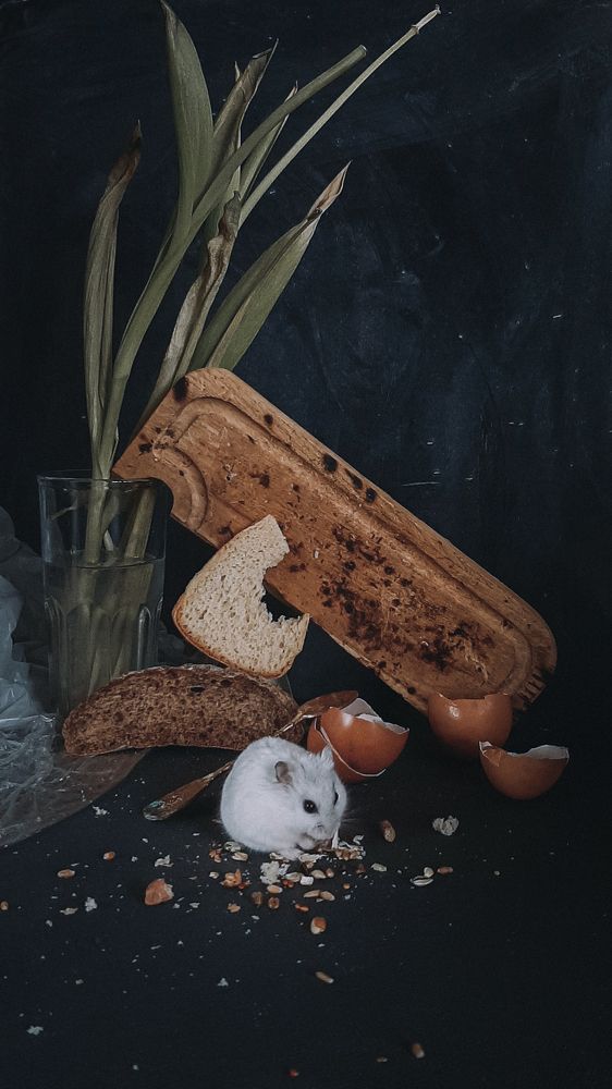 Photograph by Юлия Камынина