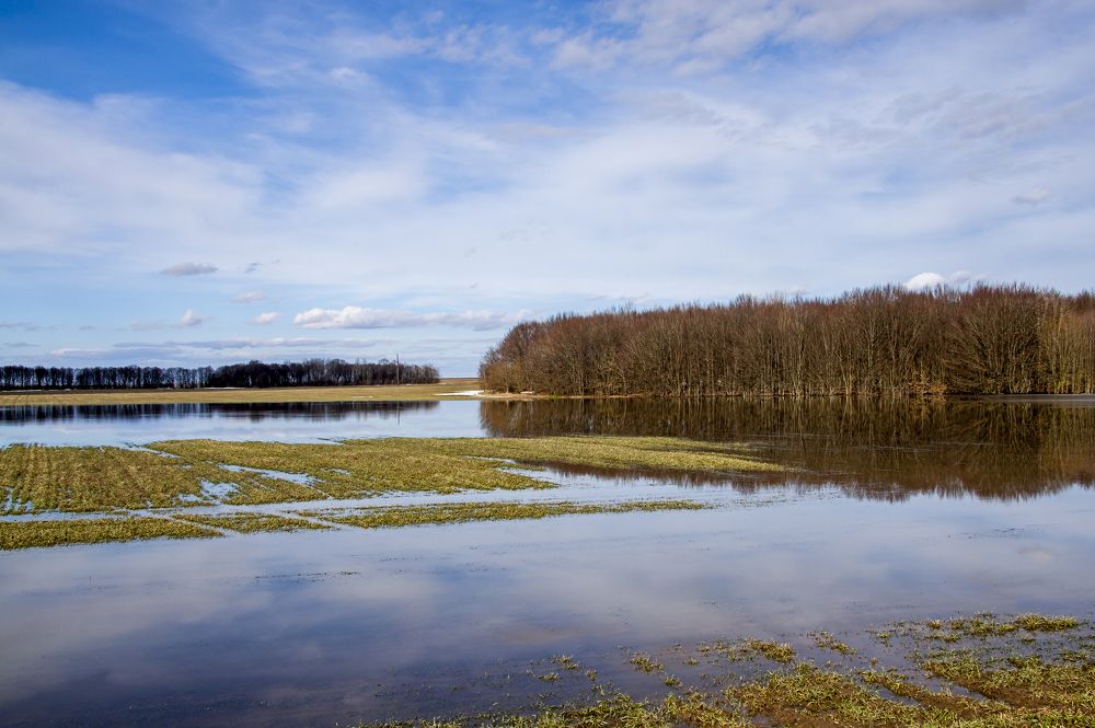 Весенний этюд