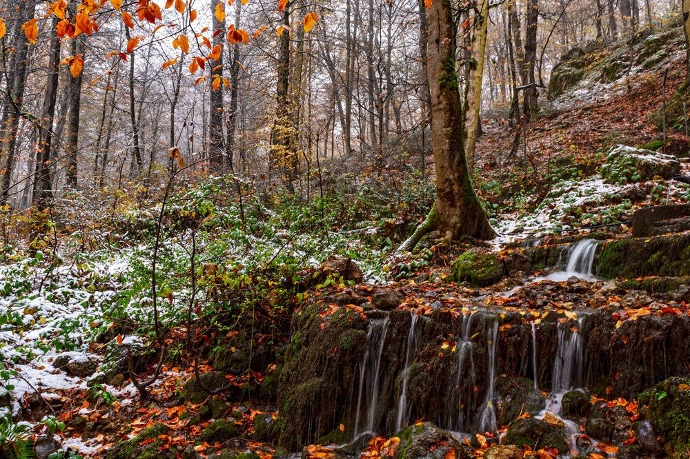 Фотография автора Milad Falahi