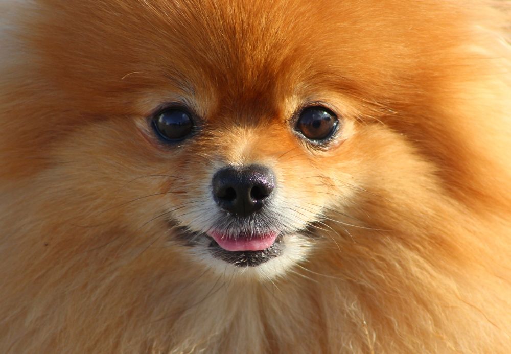 Photograph by Galina Tsmyg