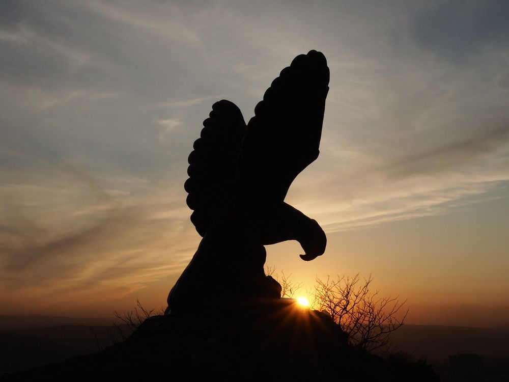 Фотография автора Straand2614