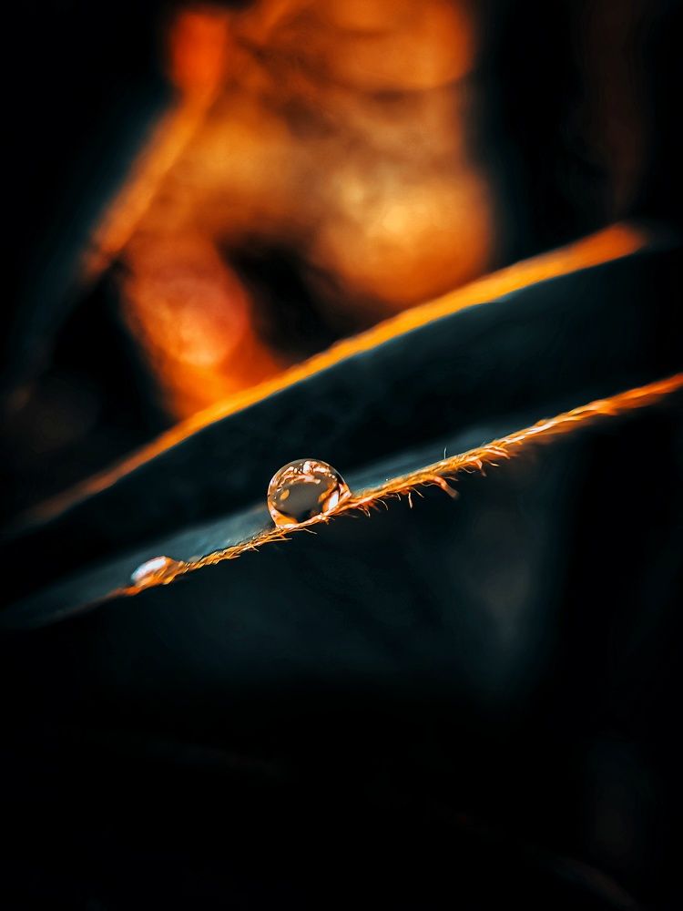 Photograph by Edis Memic