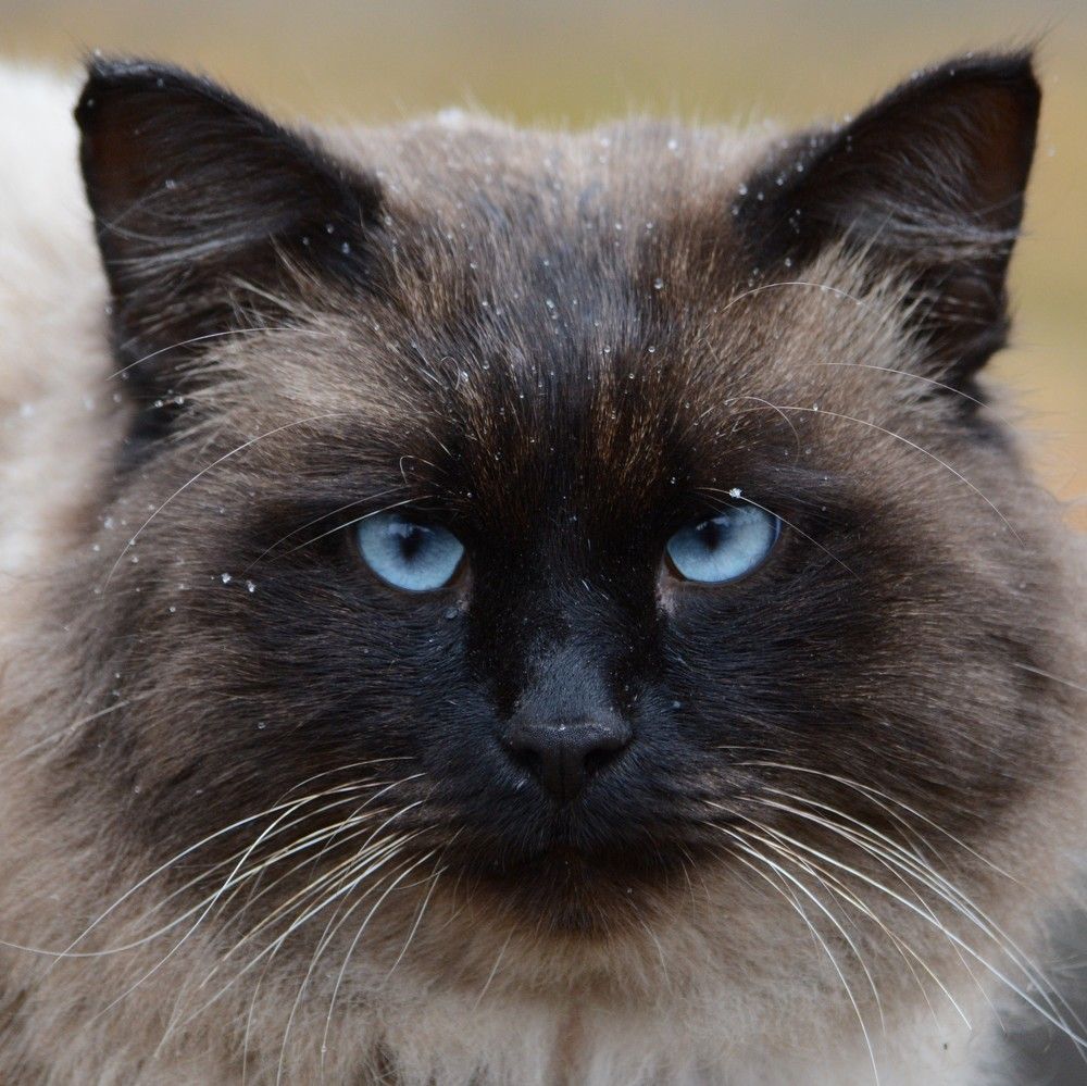 Photograph by Александр Аношкин